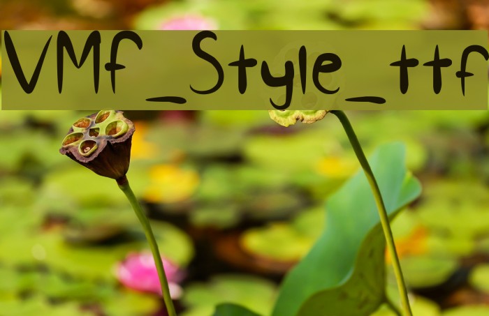 VMF_Style_ttf Example 1