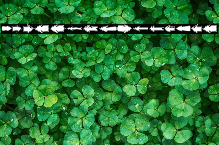 VN Arrows Regular Example 3