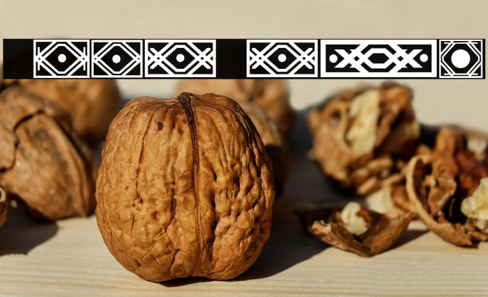 VN Borders Regular Example 3