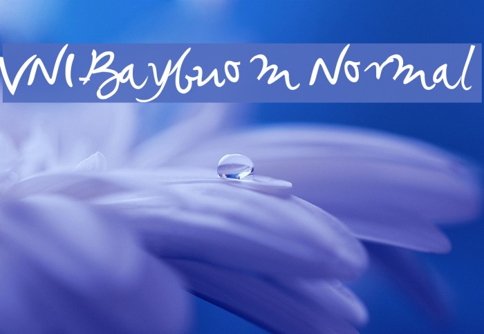 VNI-Baybuom Normal Font examples