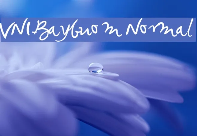 VNI-Baybuom Normal Example 1