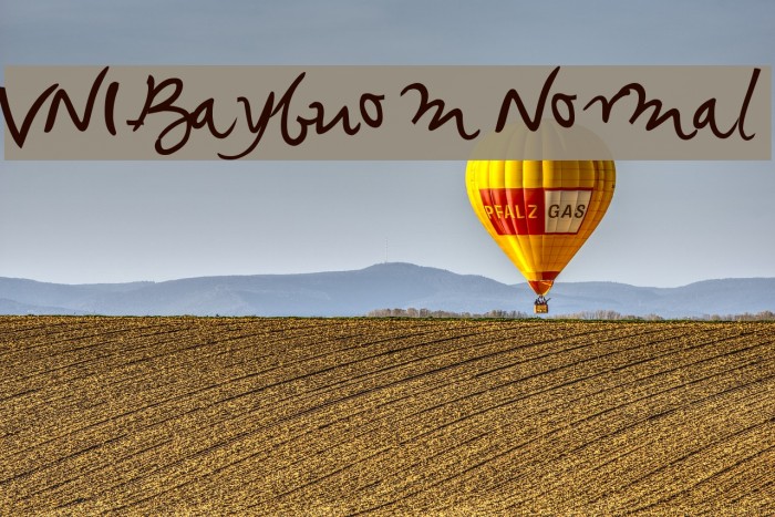VNI-Baybuom Normal Font examples