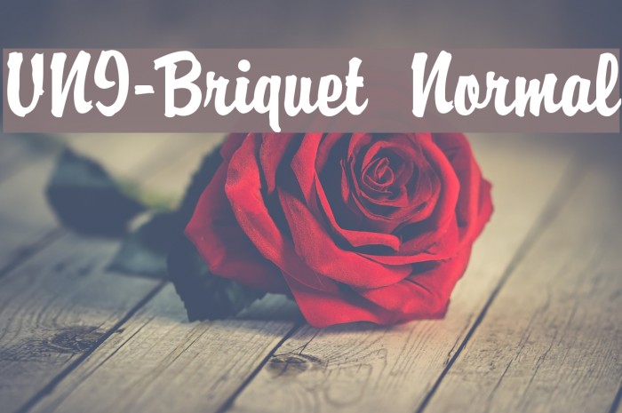 VNI-Briquet  Normal Example 1