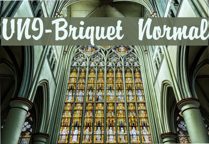 VNI-Briquet  Normal Example 2