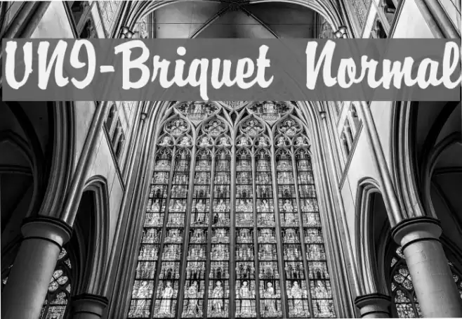 VNI-Briquet  Normal Font examples