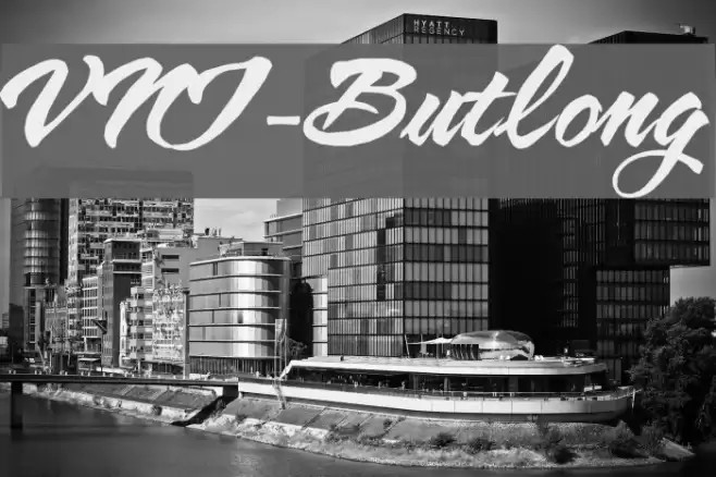 VNI-Butlong Font examples