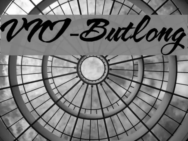 VNI-Butlong Font examples