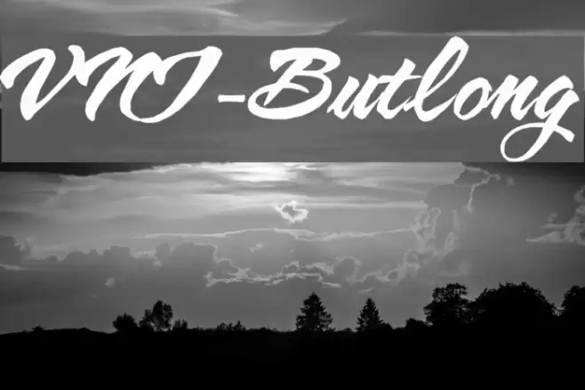 VNI-Butlong Font examples