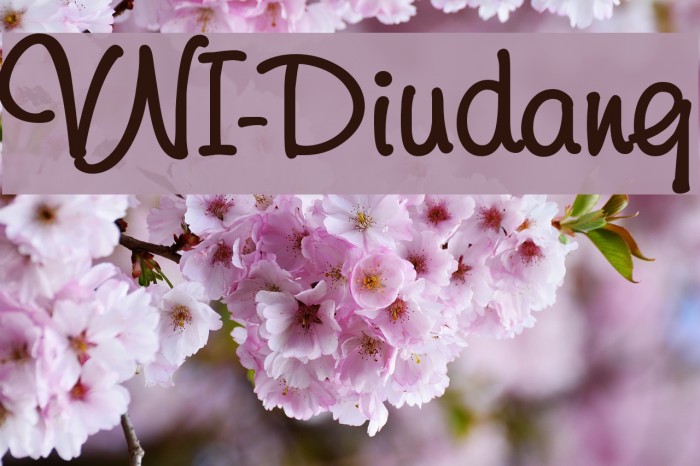 VNI-Diudang Font examples