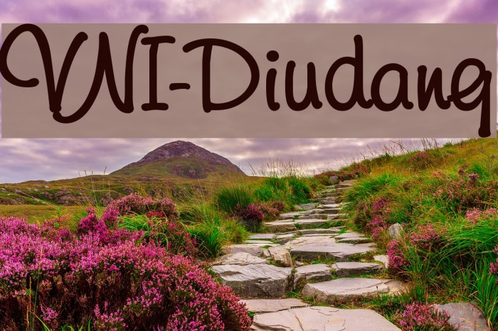 VNI-Diudang Font examples