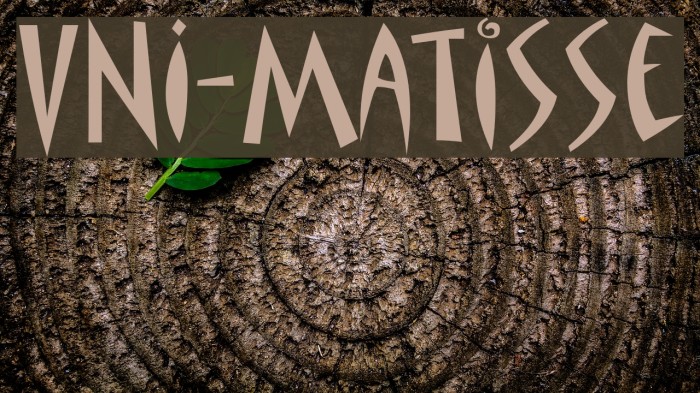 VNI-Matisse Example 2