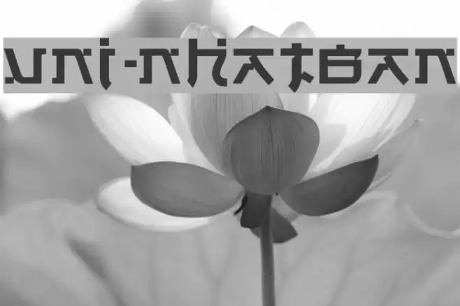 VNI-Nhatban Font examples