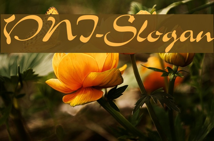 VNI-Slogan Font examples
