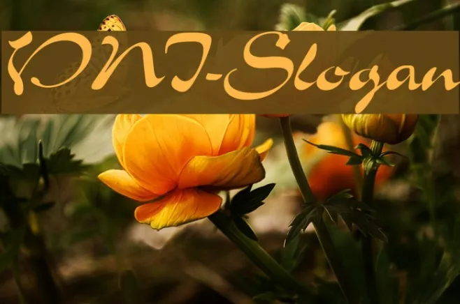 VNI-Slogan Example 2