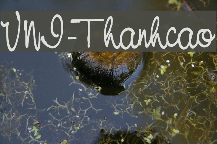 VNI-Thanhcao Font examples