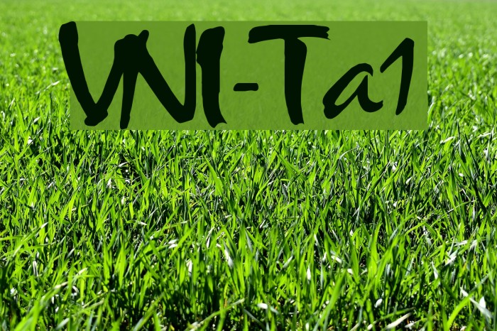 VNI-Thufap1 Font examples