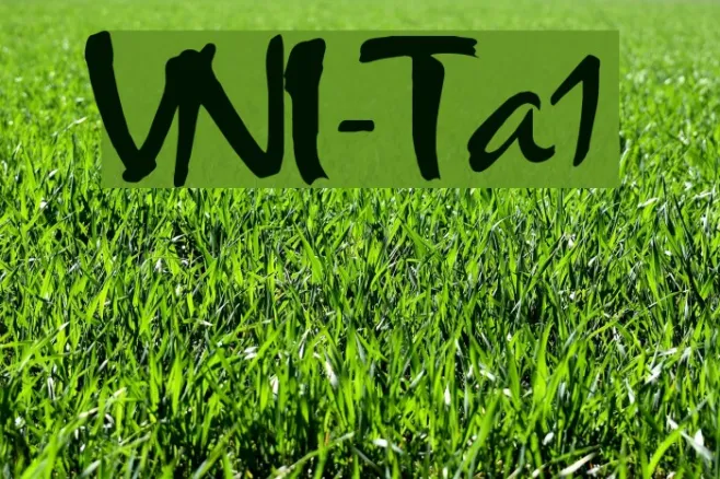 VNI-Thufap1 Example 1