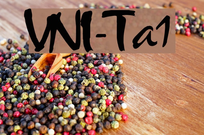 VNI-Thufap1 Font examples
