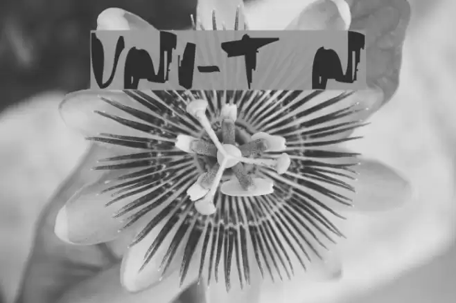 VNI-Thufapfan Normal Font examples