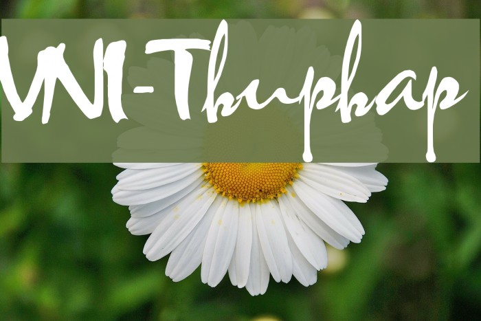 VNI-Thuphap Font examples