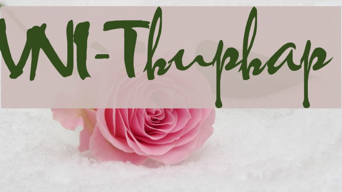 VNI-Thuphap Font examples