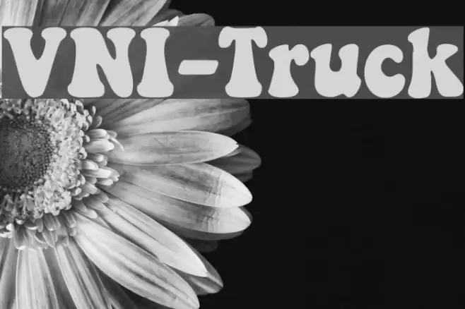 VNI-Truck Font examples