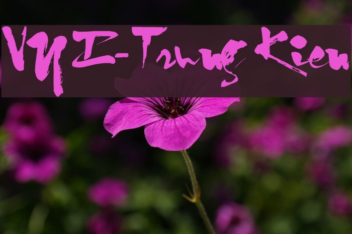 VNI-Trung Kien Font examples
