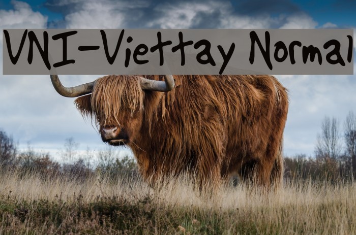 VNI-Viettay Normal Font examples