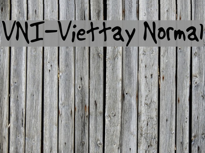 VNI-Viettay Normal Font examples