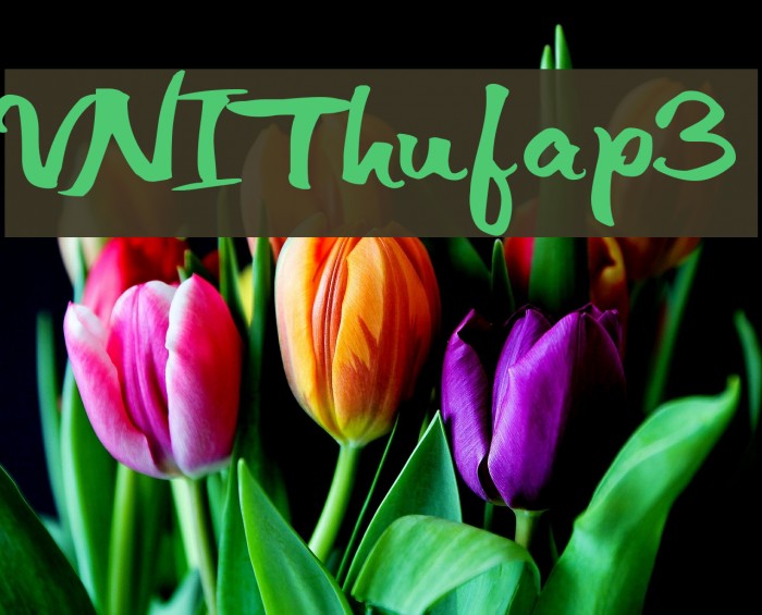 VNIThufap3 Font examples