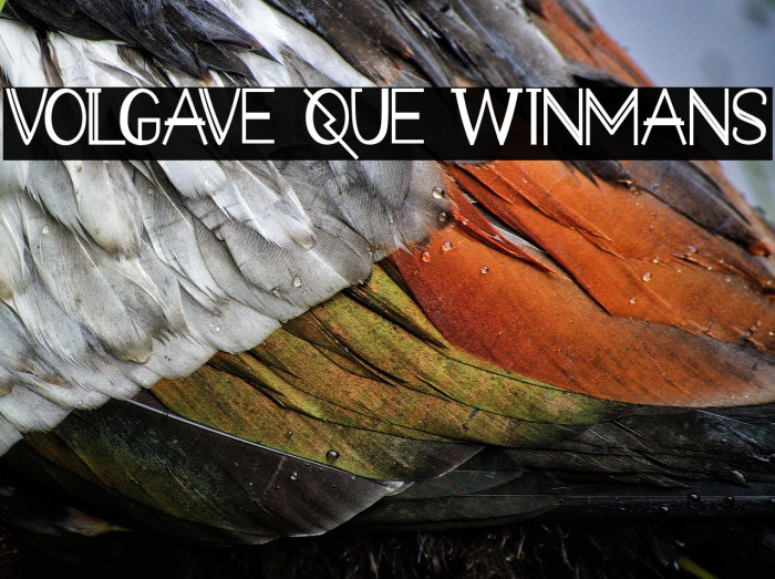 VOLGAVE QUE WINMANS Example 1