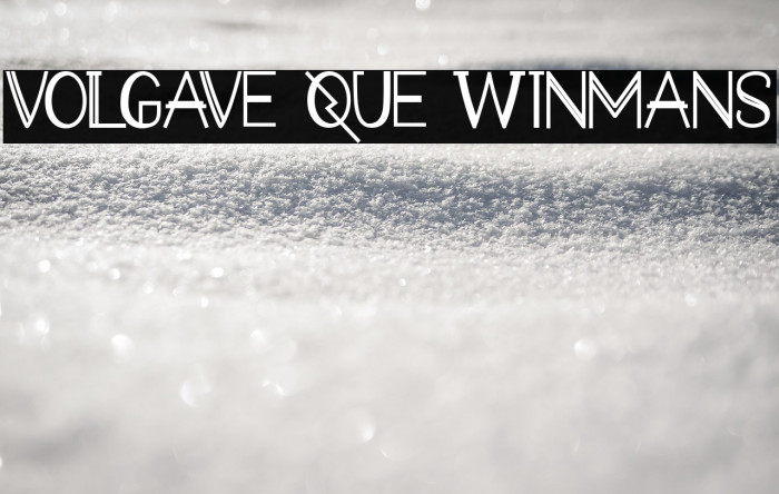 VOLGAVE QUE WINMANS Example 2