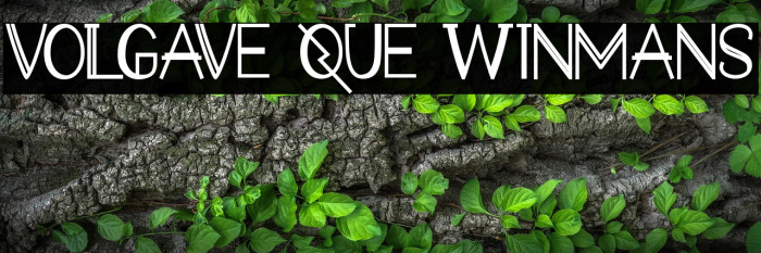 VOLGAVE QUE WINMANS Example 3