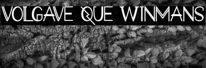 VOLGAVE QUE WINMANS Font examples