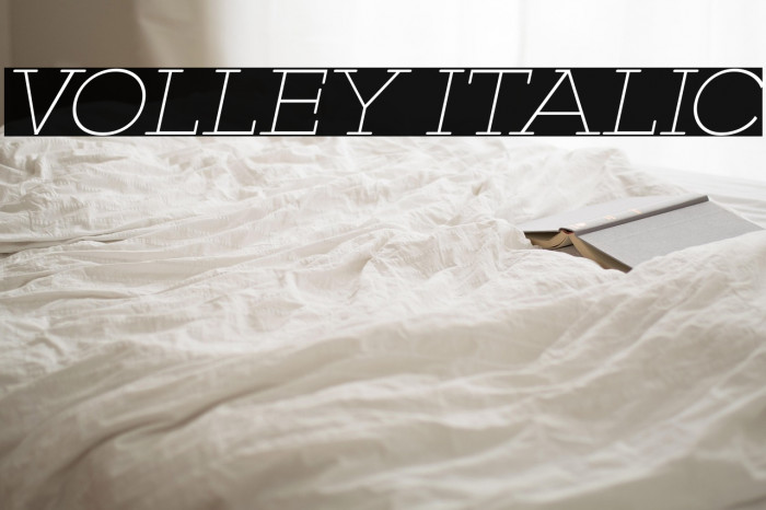 VOLLEY ITALIC Example 2