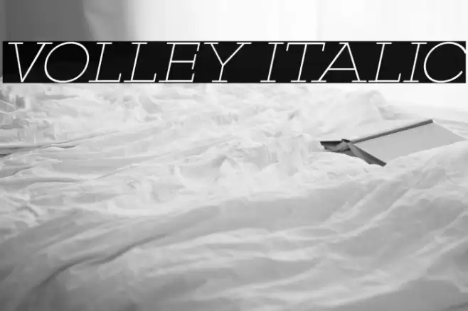 VOLLEY ITALIC Caratteri examples