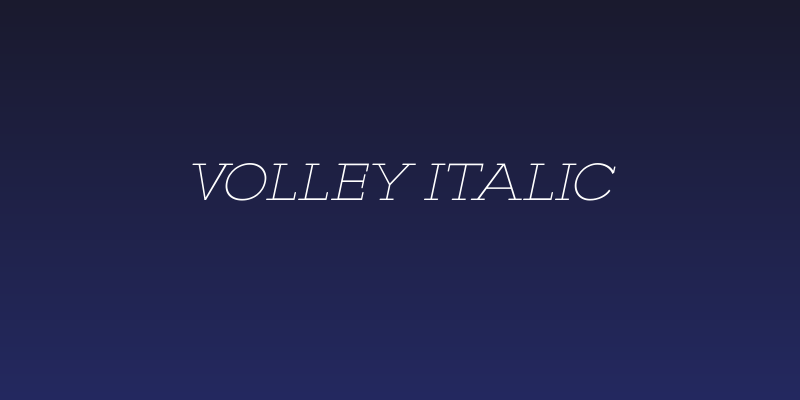 VOLLEY ITALIC Social Header