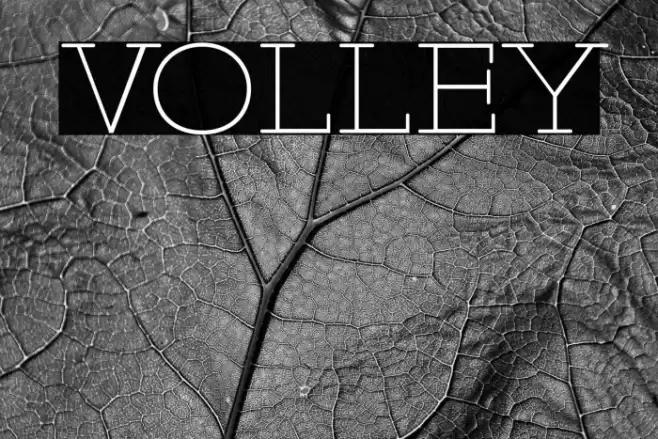 VOLLEY Caratteri examples