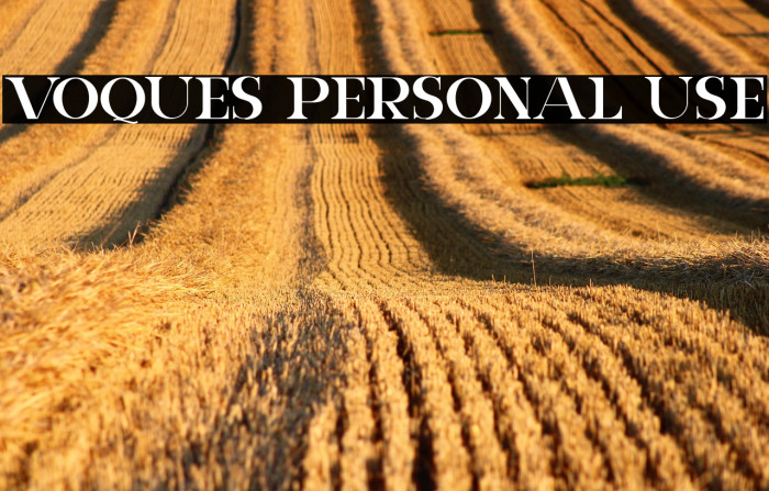 VOQUES Personal Use Example 1