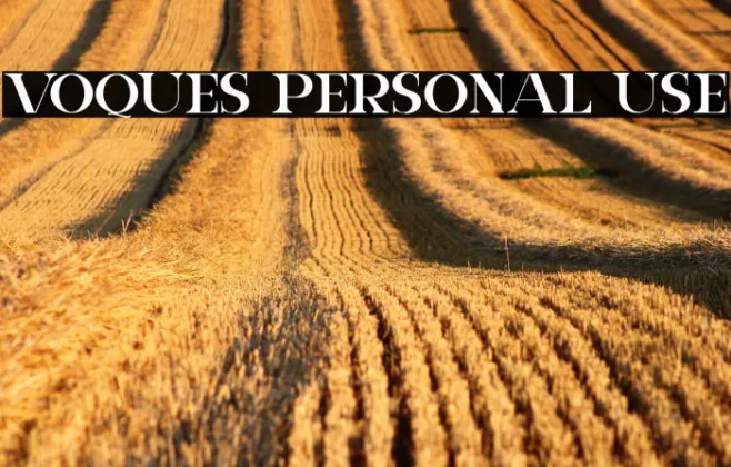 VOQUES Personal Use Example 1