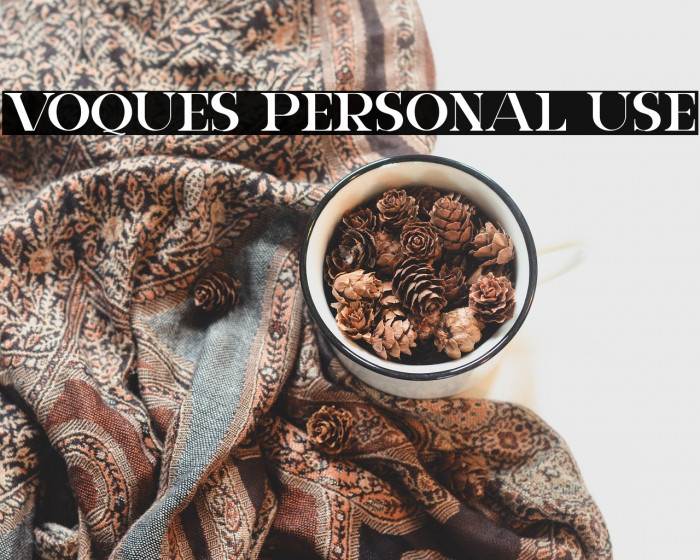 VOQUES Personal Use Example 2