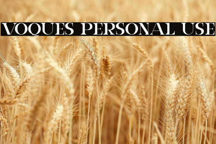 VOQUES Personal Use Example 3