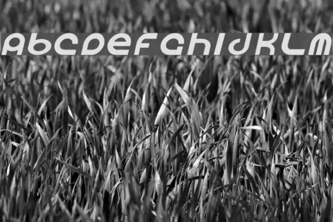 Vocaloid Oblique フォント examples