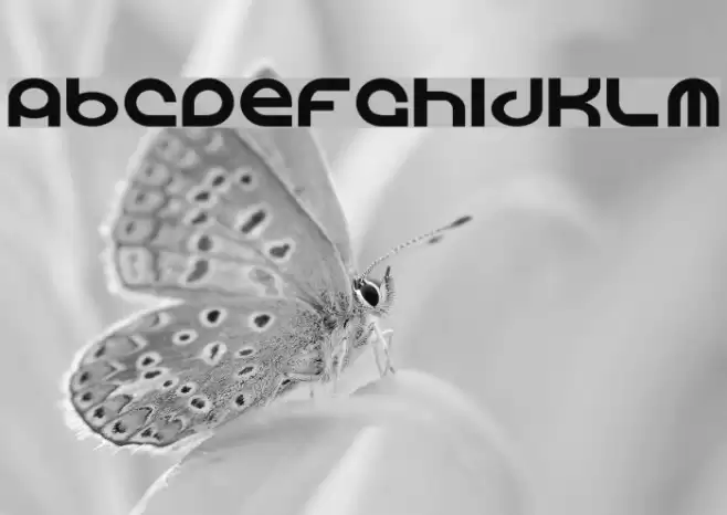 Vocaloid Caratteri examples