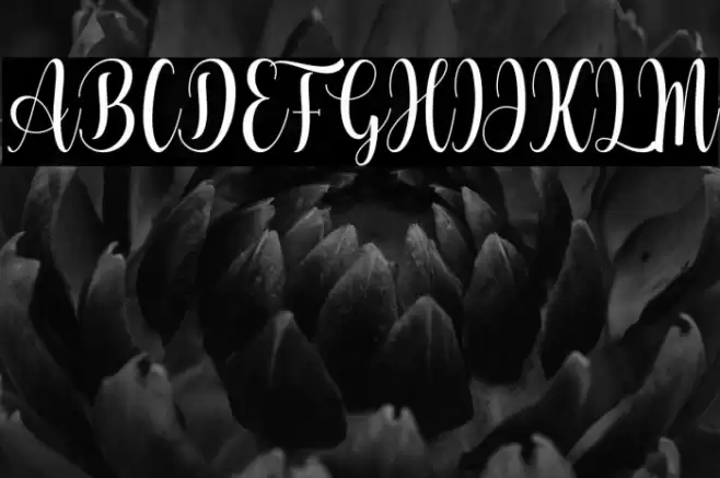 Vocation Font examples