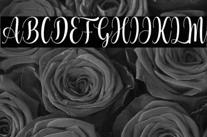 Vocation Font examples