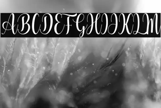 Vocation Font examples