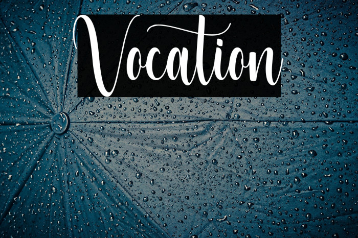 Vocation Example 3