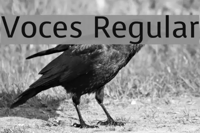 Voces Regular examples