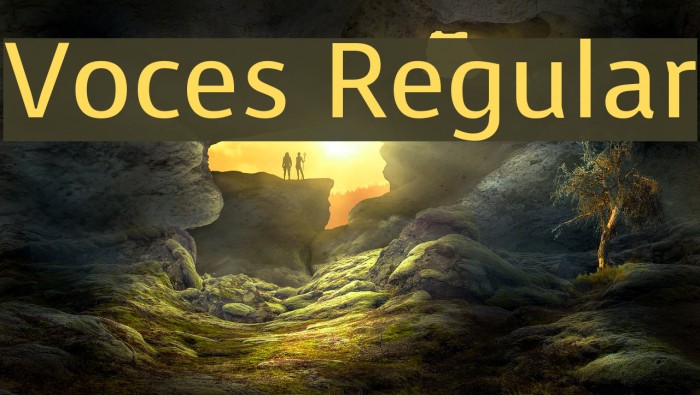 Voces Regular Font examples